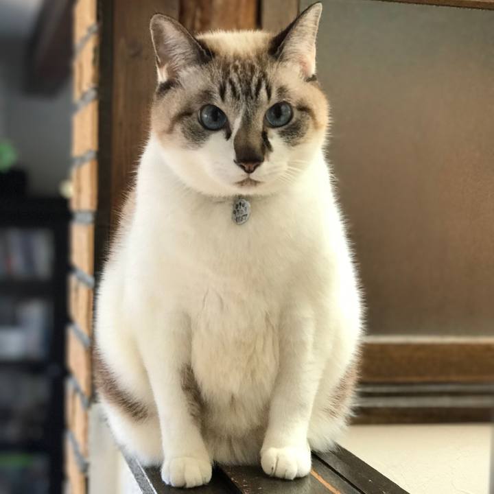 17299be7 4e2a 428c abf4 b78d1f16ef97