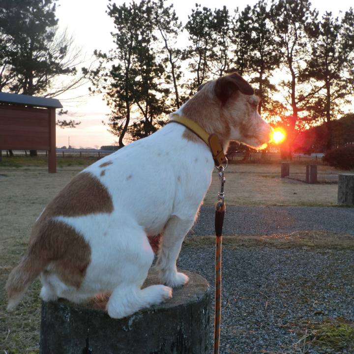 1729fea2 efd8 48f6 9933 c7d8db7d5979