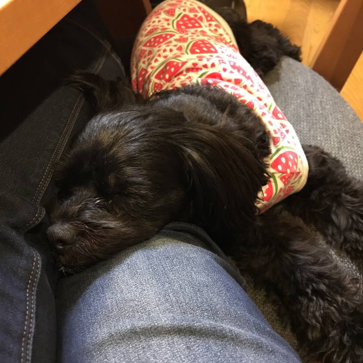 172a5515 86bd 46e5 a5f7 ad3b0e4a9c23