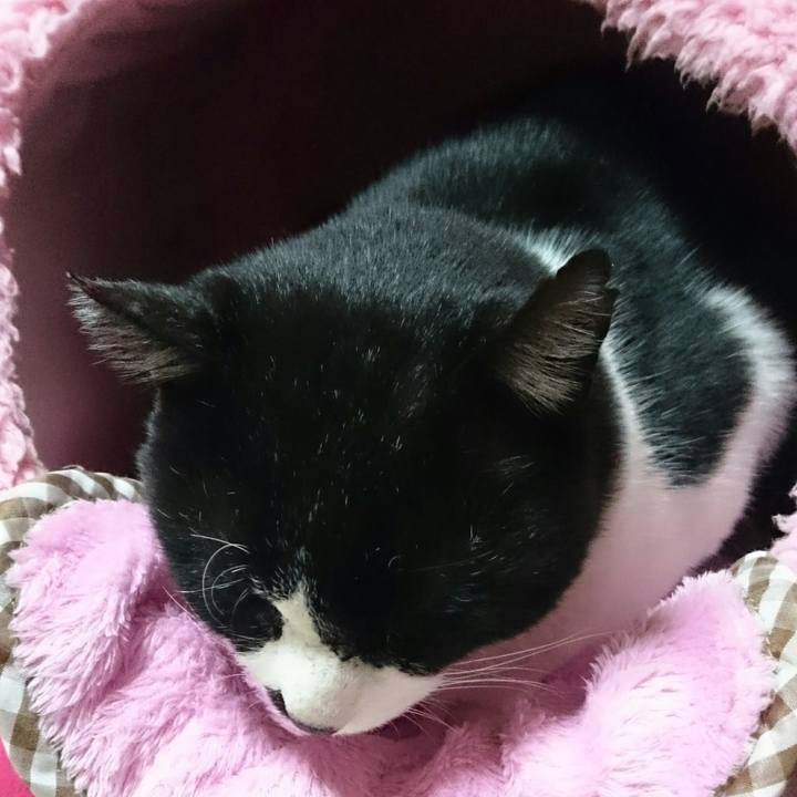 172afa1e 98d9 4040 beeb c96ef2ba8eeb