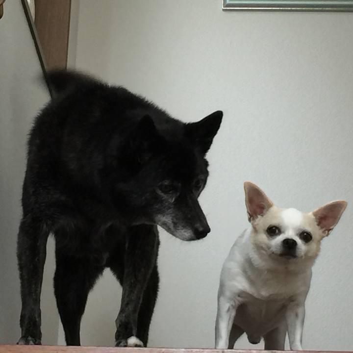 172b7565 2a62 4149 8c18 d74357fbf569