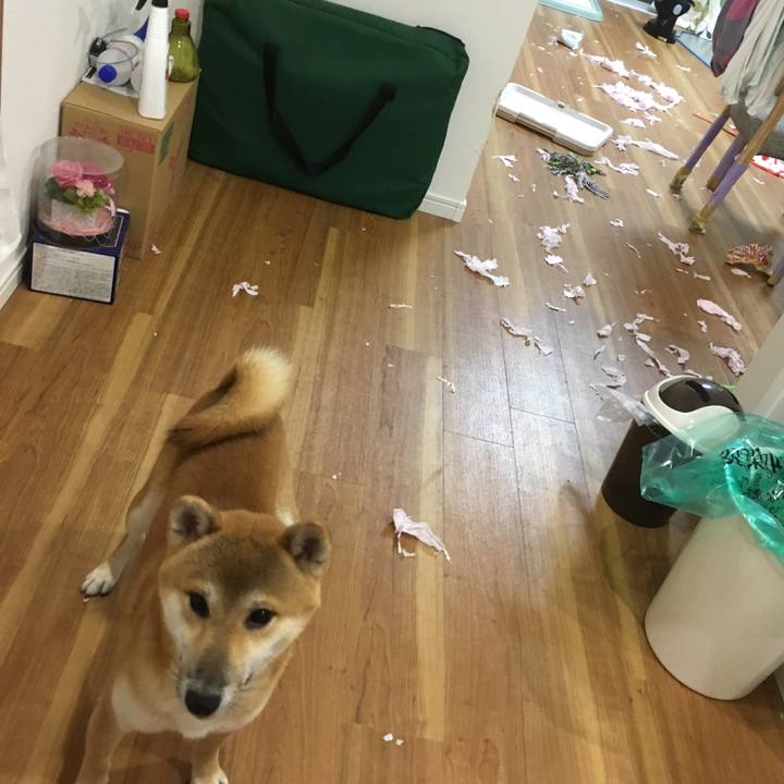 172b9252 31c5 4823 9023 61001e56e15f