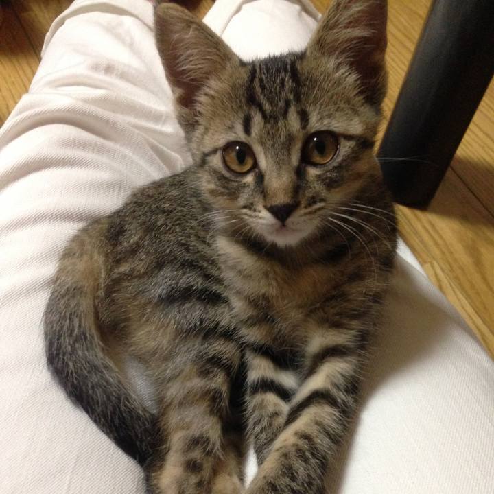 172b9d78 fff2 4104 9ee5 f25736d7f27a