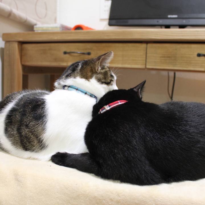 172bcff3 dd2f 4ad9 a212 8ddb259c2171