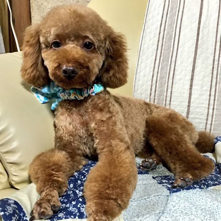 172c04ff b813 466c 98d9 62aaeb31a5b3