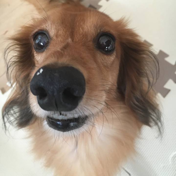 172d6af4 6c4d 4f48 aa98 c1af73f87186