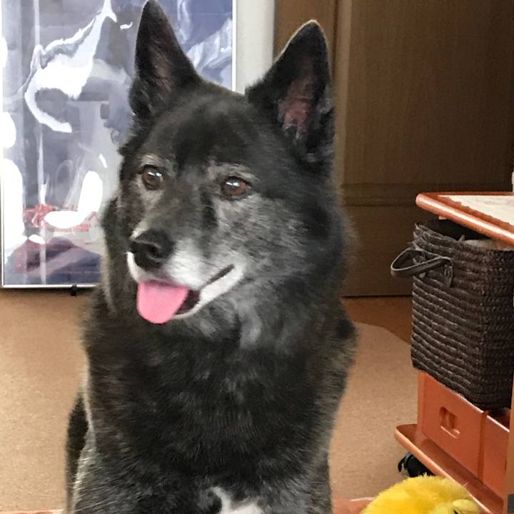 172d7403 917a 481b 921d 06c5e6bfc2a3