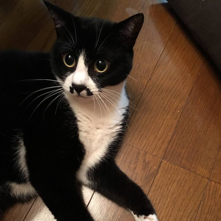 172de11d f10e 4e62 aa39 6f465c866f0e