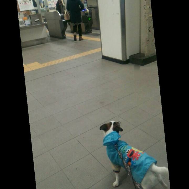 172dfa23 7cc0 4d21 a179 35297d175b4f