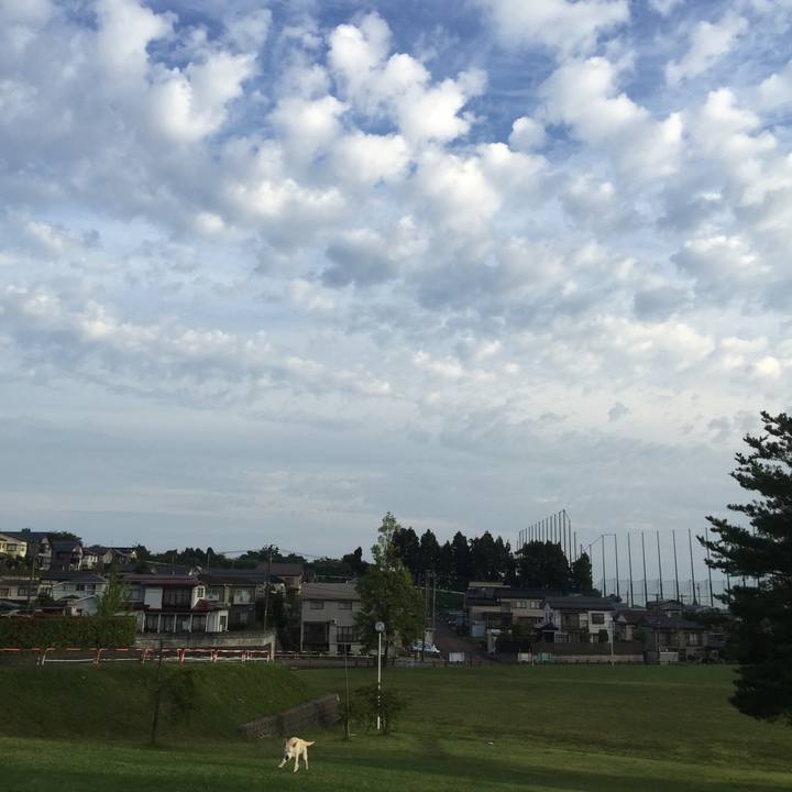 172e2da5 e6da 48a2 998e 85e0f961416f