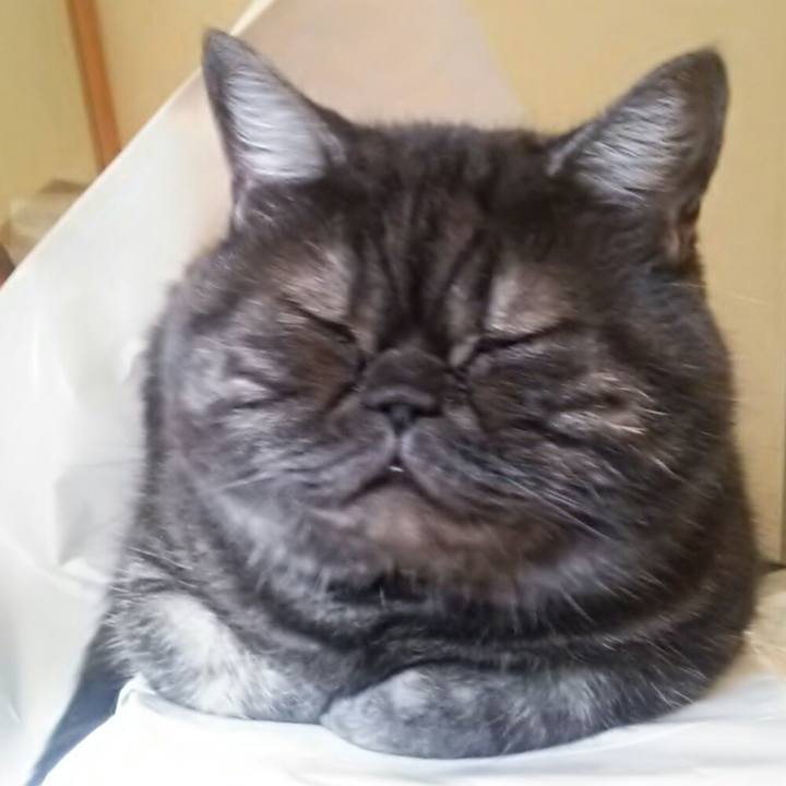 172eaad2 e5a9 44fb a90d c1c66fe17140