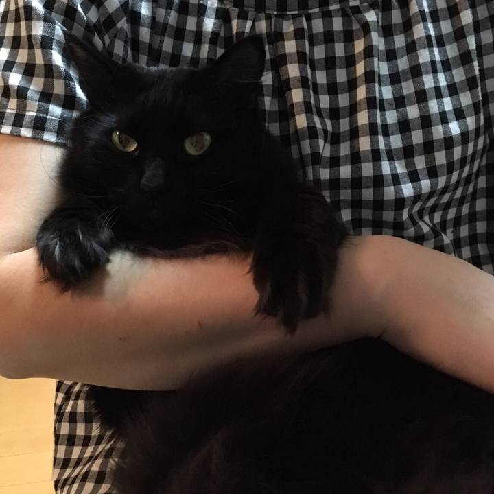 172eb3c2 a880 411f bbcd 9e21a75f7d21