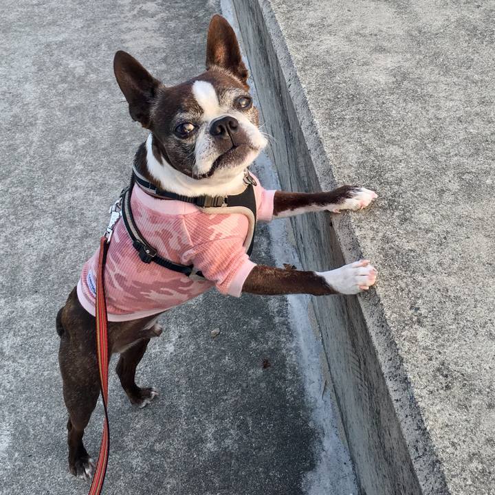 172eb5b7 7418 46d5 ae5a 84563a4dc542