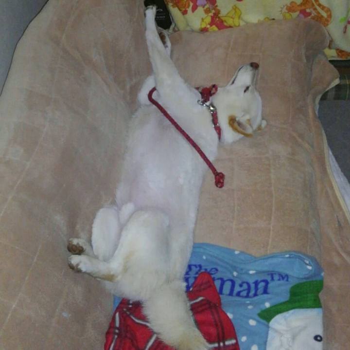 172ee287 337d 46dd 9b03 76de936f0252