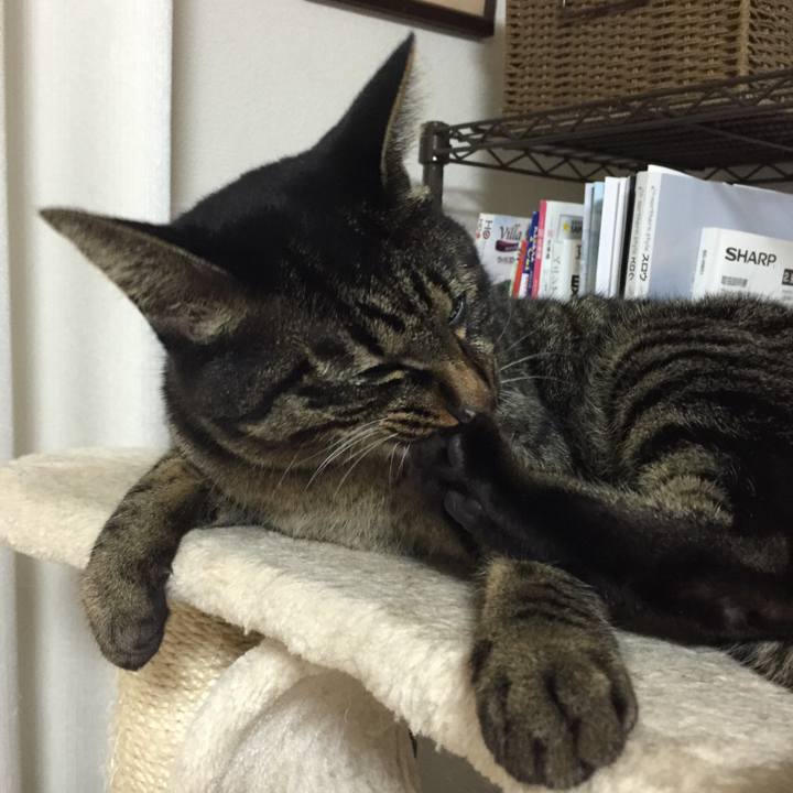 172ef88d 6569 407b 878e d7c06afd0476