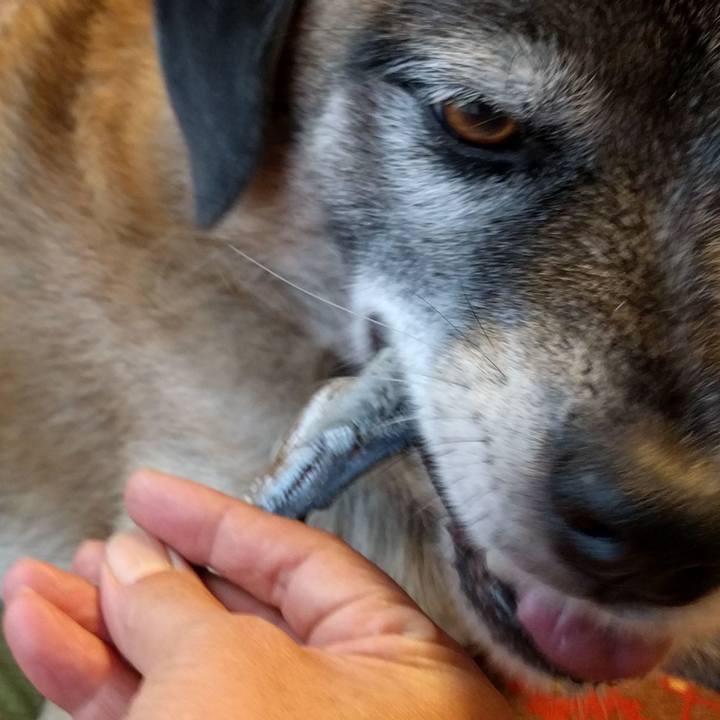 172fa9b1 5735 43fe b86f ccebb405926c