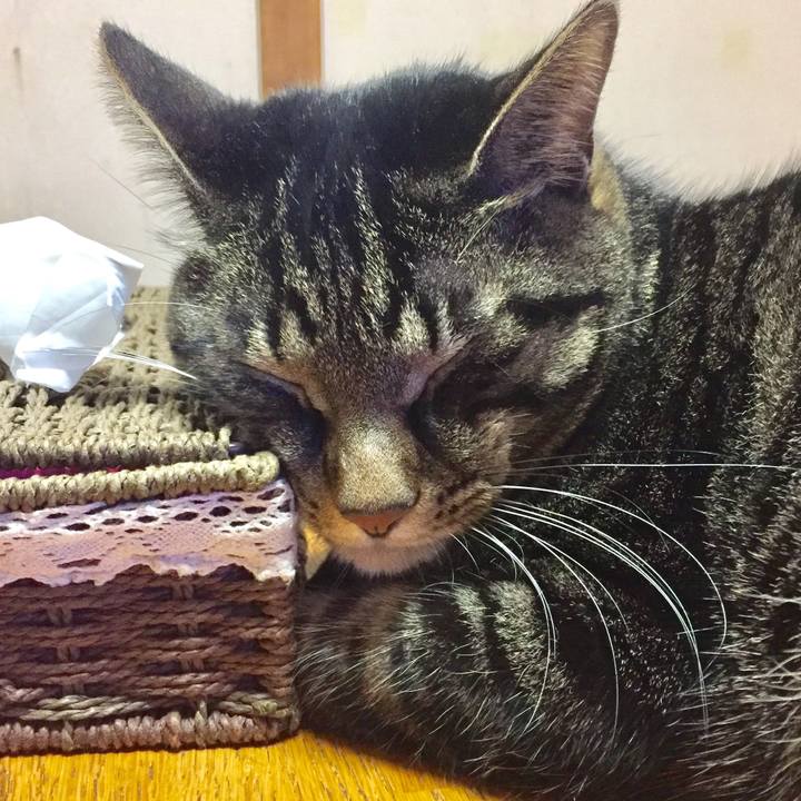 1730ce5c 37f1 4412 8a01 0e63a7057da1