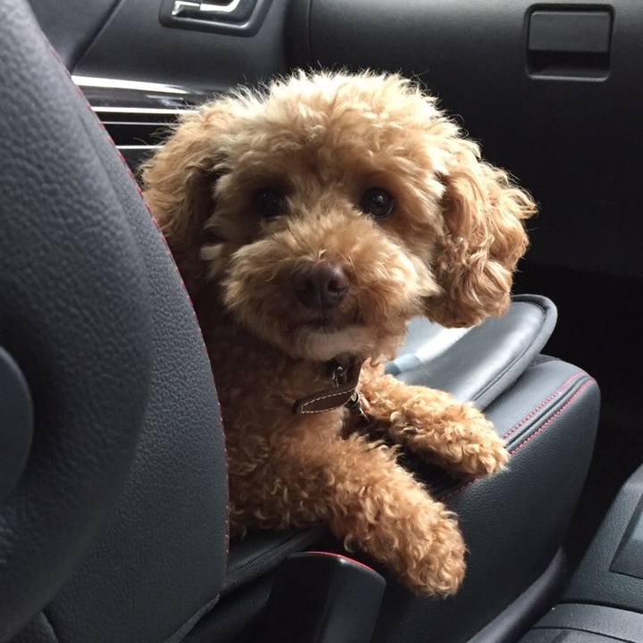 1730d45e 6928 4747 8127 29a847c3efea