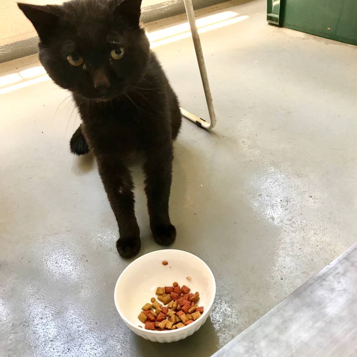 1730e916 7363 448c b263 93ac825f76c9