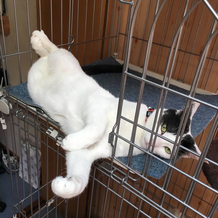 1731a63f 216b 4254 a46b 1e08700ddb9a