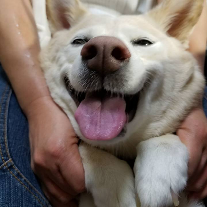 17326686 895d 4ee8 ac09 bf58bb8269c8