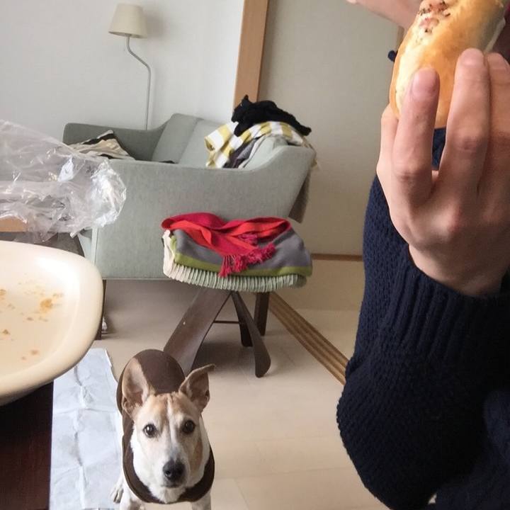 17337de7 15c2 4e6a bd02 694be2df9ed1