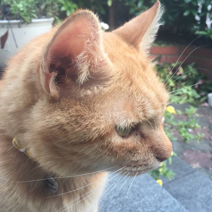 17338d72 e6e3 4215 97dc d397e1196167