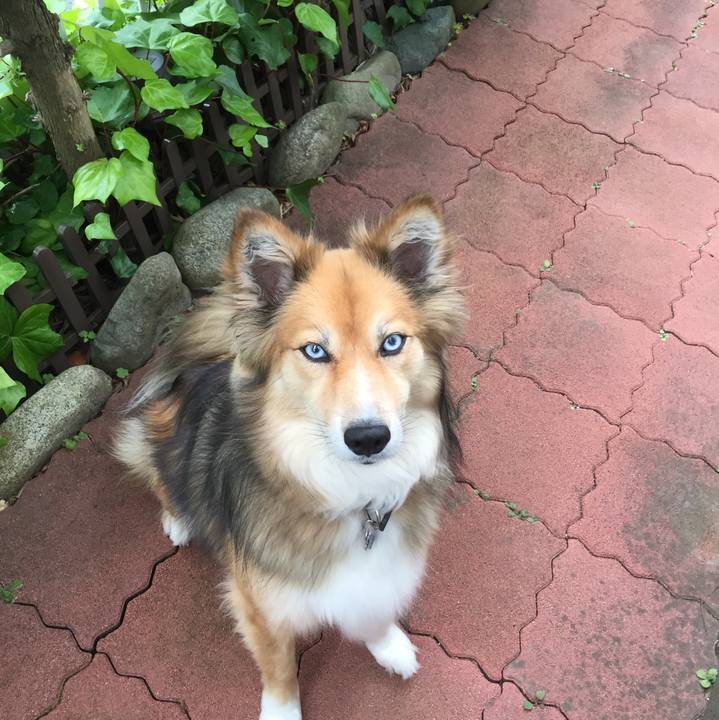 1733ad43 586b 42cd 8816 43f6da212b25