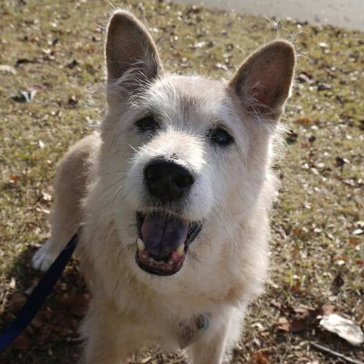 173438bc 7eaf 43f0 a6d2 6861abe45de9