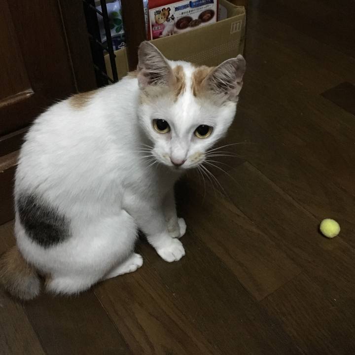 17346f74 1604 4db8 a5b0 ec50a26278fb