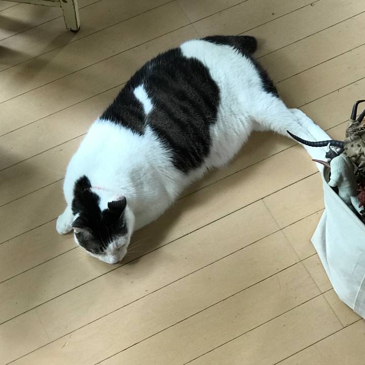 17349ae0 01e5 449b b316 d283dd0bd7ff