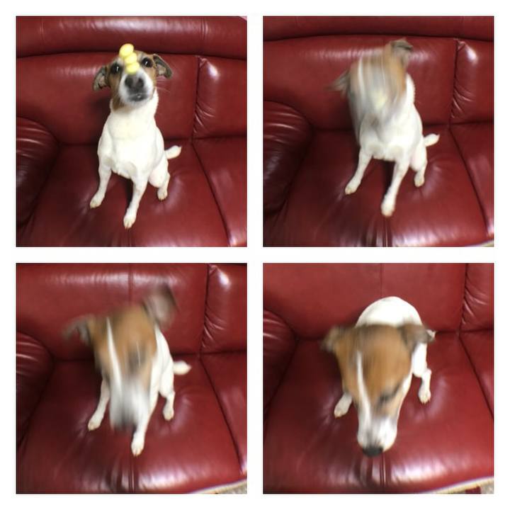 1735783c 6163 46ae ac17 ce7a32724e97