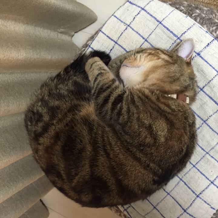 1735cc20 8c07 452b ab0f 4450da1d7497