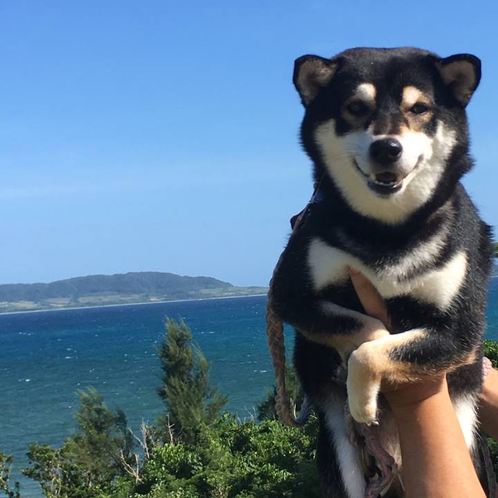 1735d2c7 f28e 4972 8249 239977168b34