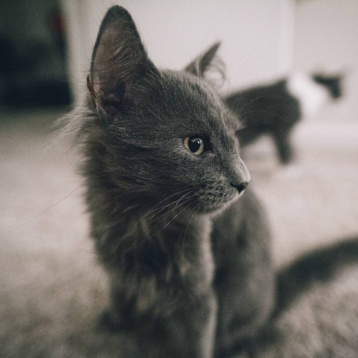 17360959 b6a0 41d0 a983 d2cc608bc209