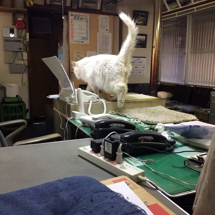 173611eb 9e94 4402 8aee ab625841c2b0