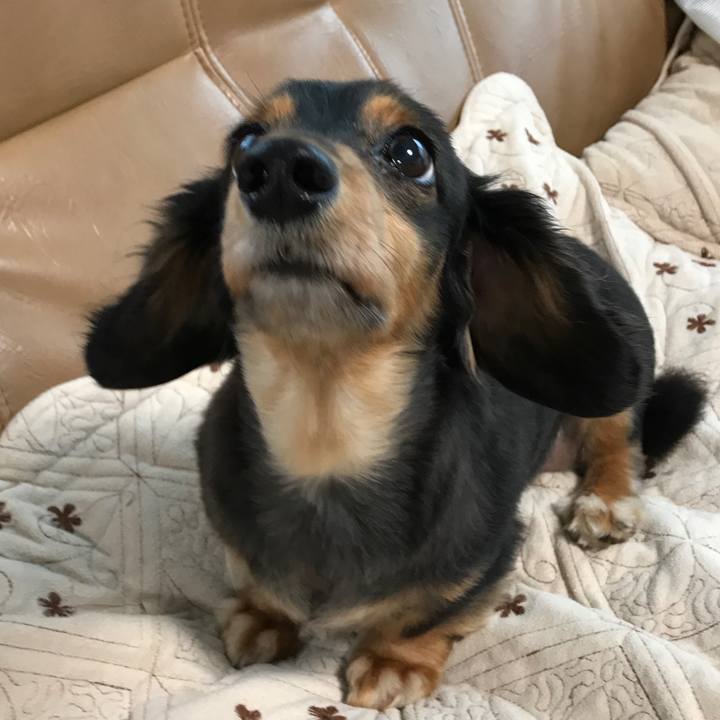 1736f7d5 5e06 4ca1 ba8d 46db31b2454e