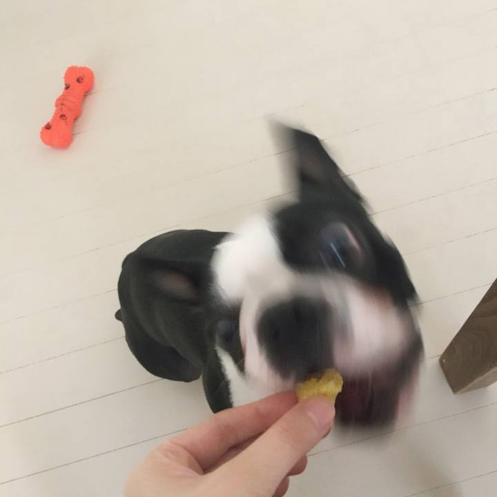 1737012d 7dec 4413 bde6 c88b90526c49