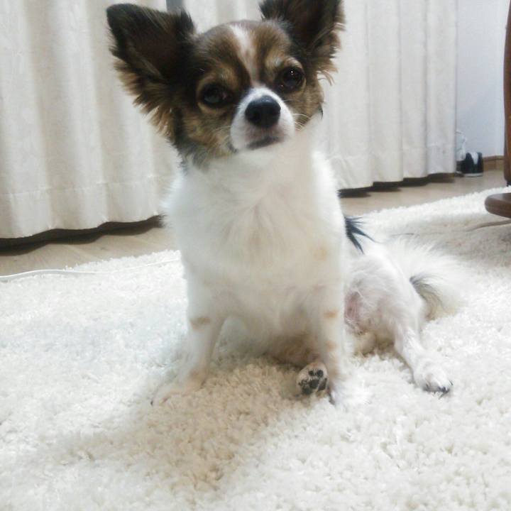 17371ebe 0dcb 4930 8d3d 338ed2280570