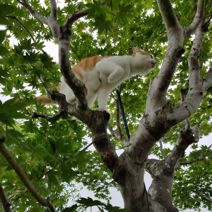 17378135 59c4 47df ac61 ecee1a309abd