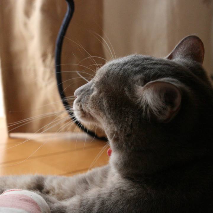 17379e84 607e 4dcd bb26 6d1c27dd4e8b