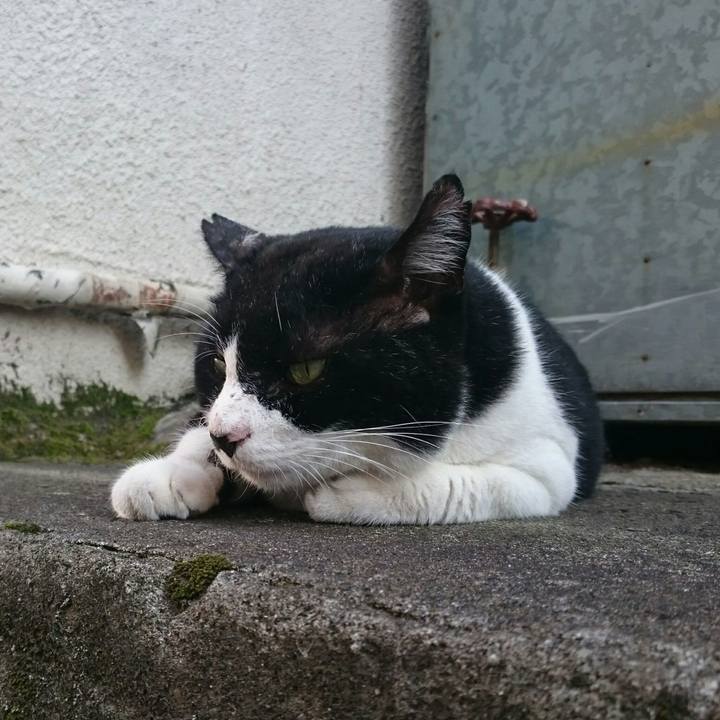 1737ca72 d4c4 45d2 866f de4e31f0a6e0