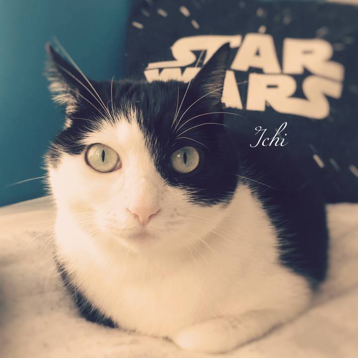 1737cde9 4831 4cd4 a13c 113cd017dc8c