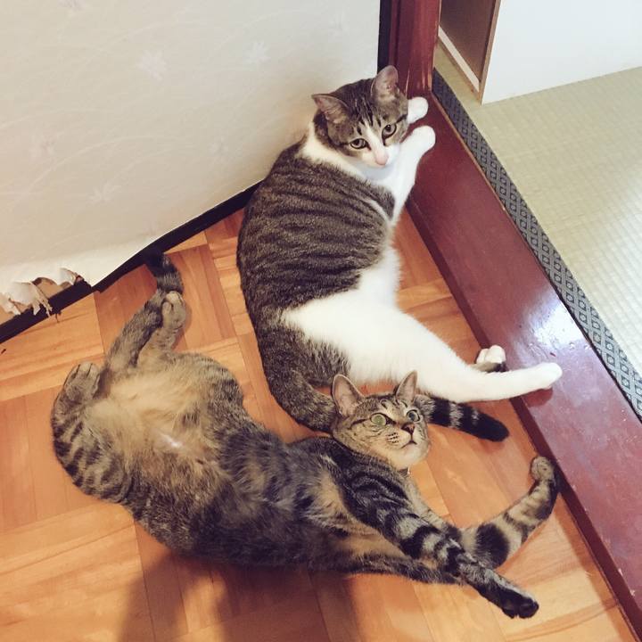 1737d4c6 da82 4213 8092 eb5ed06fef6d