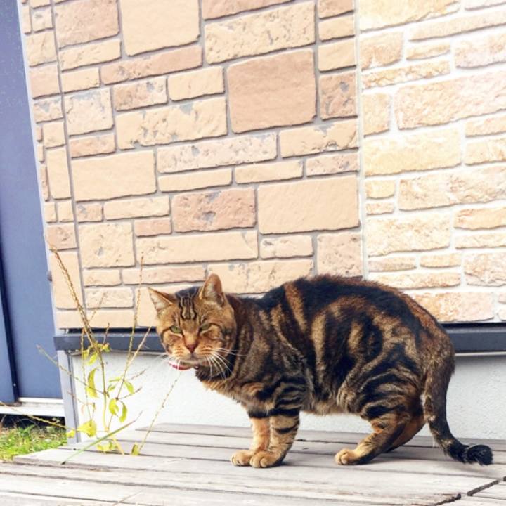 1737ec87 c4ec 4978 8d4d 0ea076be3040