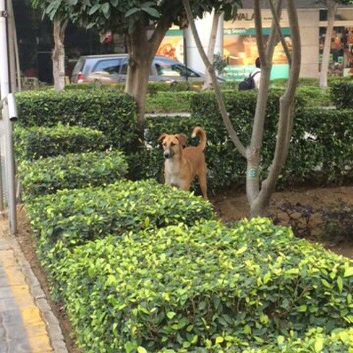 173a01d1 5a47 4f66 a8a4 894b6b832cac