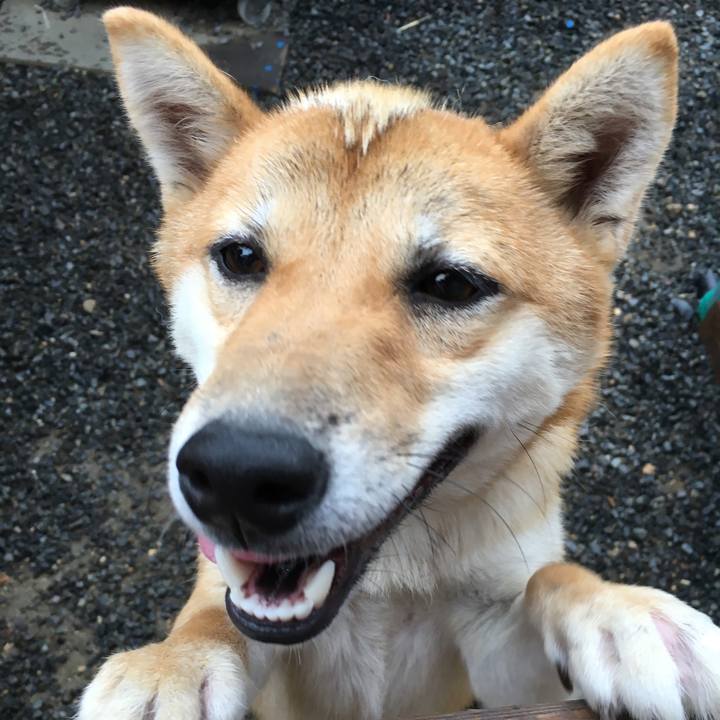 173a2878 fbd5 4260 a7cf 3a1152eef88b