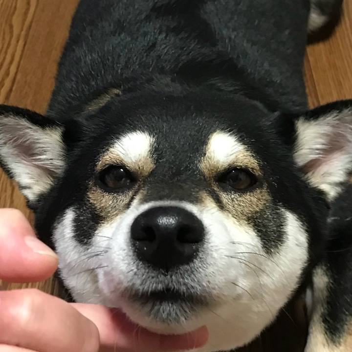 173a3973 7bd1 4e8c beee befd6099fd72