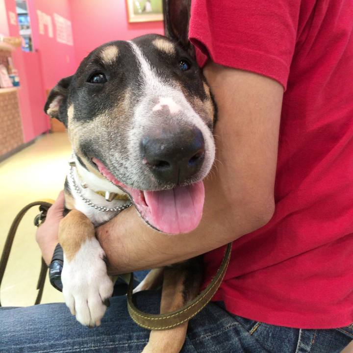 173a5801 9b2b 4ddf ac33 f296b0fa32cb