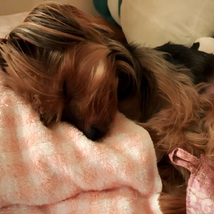 173ab2a1 66fa 409b 943f d0d7d3eee435